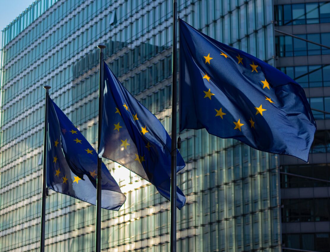 Navigating the challenges: The EU's to-do list ahead of the 2024 elections